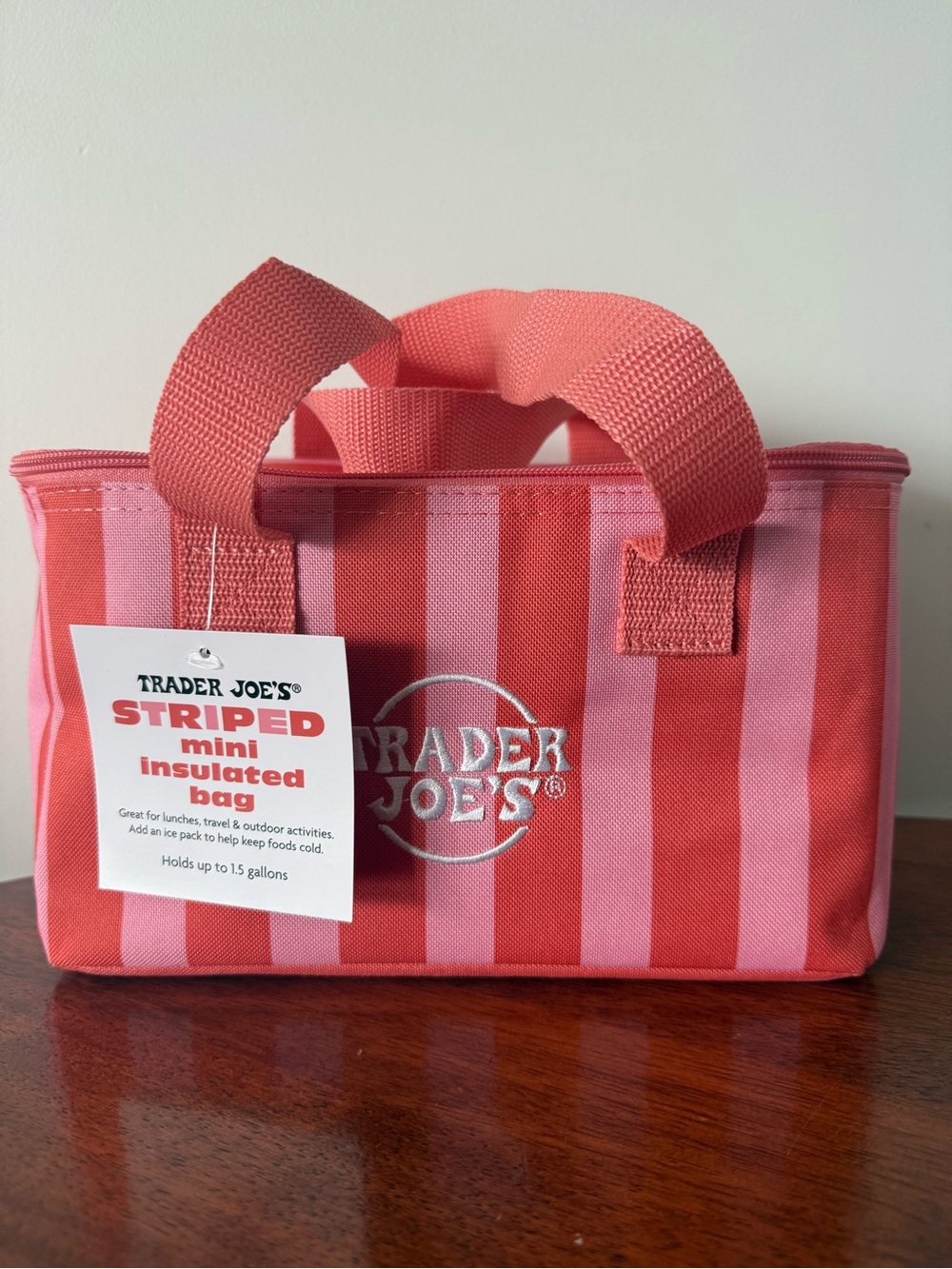 Brand New: TRADER JOE’S - Striped Mini Insulated Bag